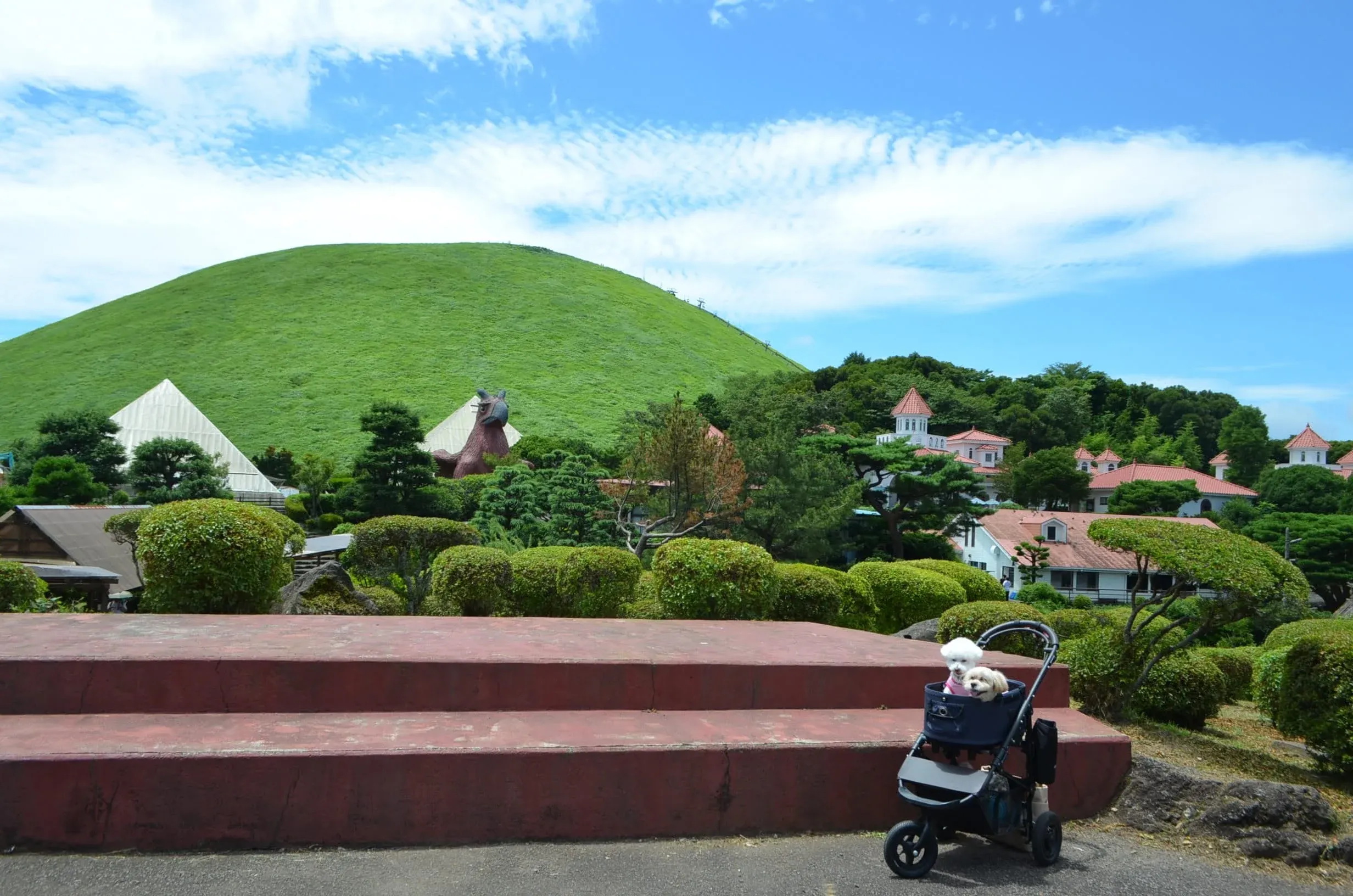 大室山が目の前に！雄大な景色が広がって開放的！